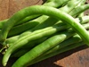 Topcrop Bush Beans